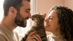 How Cats Choose Their 'Favorite' Person: What Research Says and How It Shows at Home