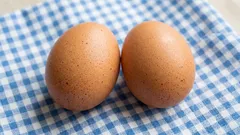 Eggs—To Wash or Not to Wash: An Expert’s Answer