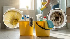 Remove Limescale and Urine Stains from Your Toilet in One Hour: An Effective Method