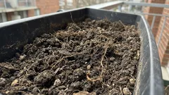 Why Soil in Containers Ages Faster Than in Garden Beds