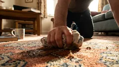 Saving a Flooded Carpet: How to Quickly Dry Carpet Flooring Using Household Items